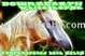 White Horse bath salt on sale 50, 500mg packs for 400$