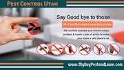 Best Pest Control Services in Utah and Cache County
