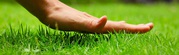 The Best Lawn Care Services in Orem
