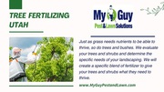 My Guy Pest and Lawn: Utah's Best Tree Fertilizing Services 