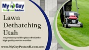 Lawn Dethatching Services in Utah by My Guy Pest and Lawn